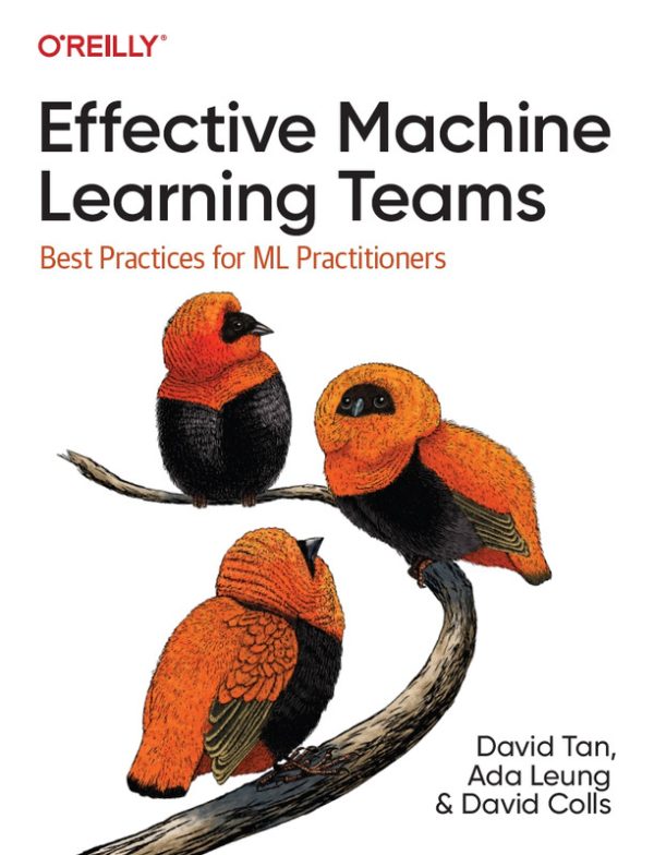 Effective ML Teams: Best Practices for AI Practitioners (2024)
