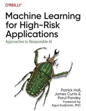 ML for High-Risk Applications: Responsible AI Approaches (2023)