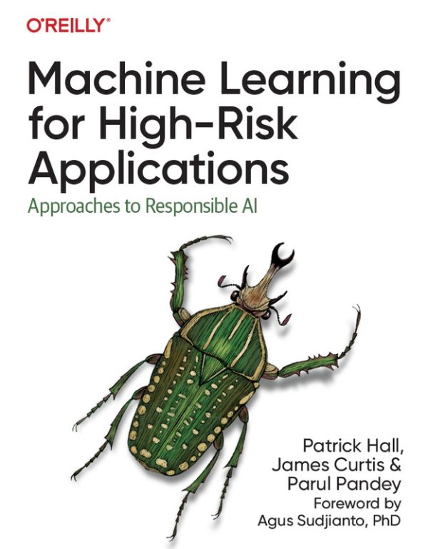 ML for High-Risk Applications: Responsible AI Approaches (2023)