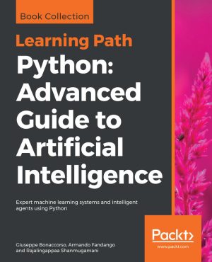 Python AI Advanced Guide: Build ML Systems & Intelligent Agents