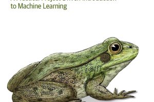 Low-Code AI: Project-Driven Introduction to ML (2023)