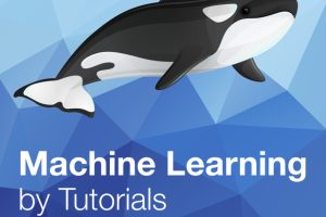 Machine Learning by Tutorials: ML for Apple & iOS (2021)