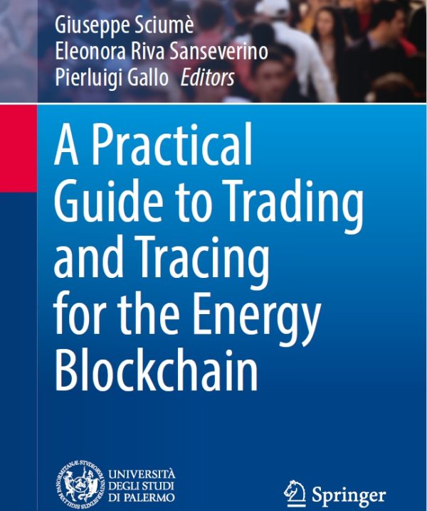A Practical Guide to Trading and Tracing for the Energy Blockchain - UNIPA Springer Series - Springer 2022