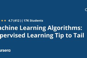 Supervised Learning Algorithms Course 2025