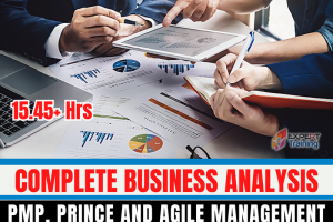 Complete Business Analysis, PMP, Prince and Agile Management