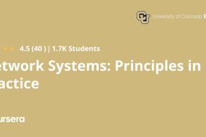 Network Systems Principles in Practice 2024