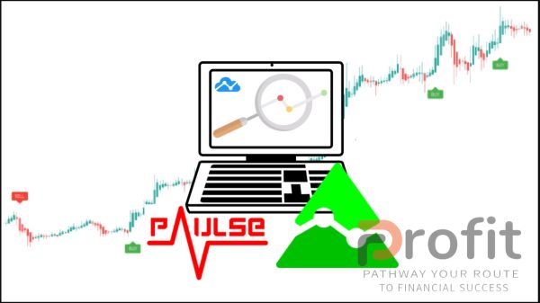 TradingView Pine Script 102 The Complete Strategies Guide