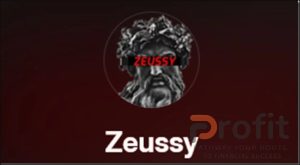 ZEUSSY Mentorship Program 2024