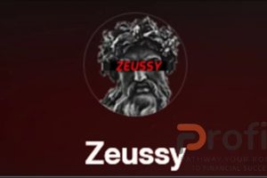 ZEUSSY Mentorship Program 2024