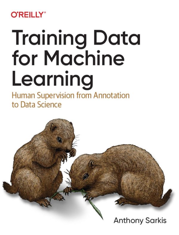 Training Data for ML: From Annotation to Data Science (2023)