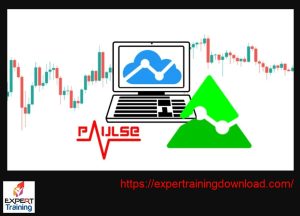 TradingView Pine Script Coding for Beginners 2024