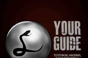 Hacking with Python: Ethical Hacking & Penetration Testing for Beginners