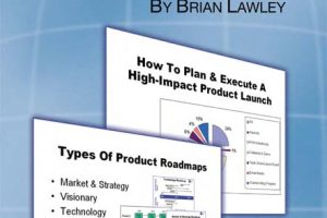 Expert Product Management: Advanced Strategies & Tactics (2007)