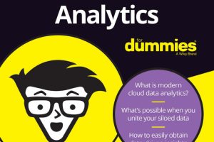 Cloud Data Analytics for Dummies: Snowflake Special Edition