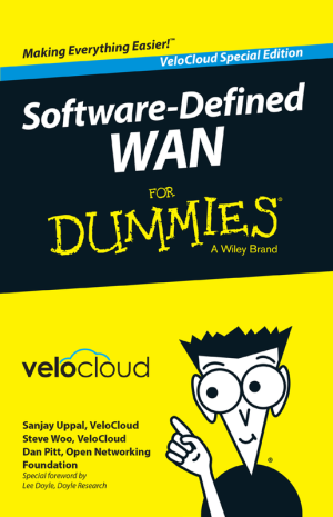 SD-WAN for Dummies: Simplifying Software-Defined Networking