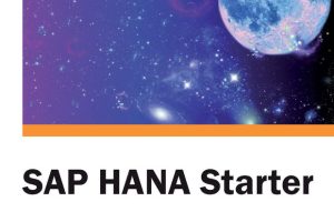 SAP HANA Starter: A Beginner’s Guide (2012 Edition)