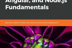 MongoDB, Express, Angular & Node.js Fundamentals: Full Stack Web Development