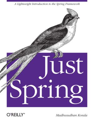 Just Spring: A Lightweight Introduction to the Spring Framework (2011)