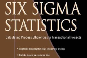 Lean Six Sigma Statistics: Practical Methods & Techniques