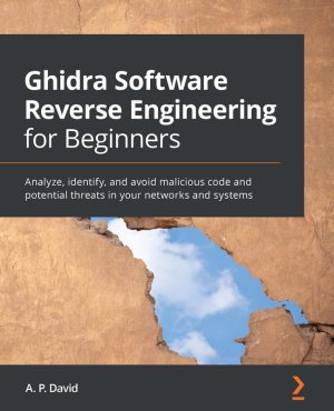 Ghidra Software Reverse Engineering for Beginners: A Hands-On Guide