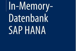 SAP HANA: In-Memory Database Guide for Developers and Administrators