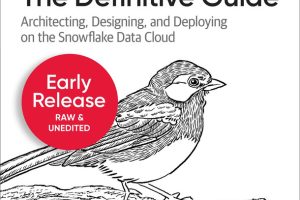 Snowflake: The Definitive Guide (Fifth Early Release)