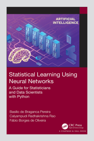 Statistical Learning with Neural Networks: A Guide for Data Scientists