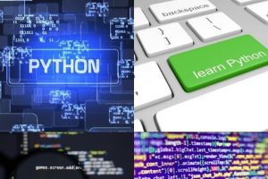 Python for Beginners: A Step-by-Step Guide to Learn Programming & Cybersecurity