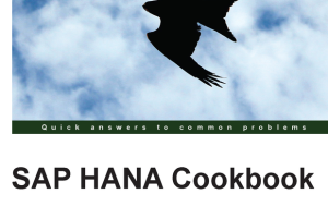 SAP HANA Cookbook: All-Inclusive Guide to Understanding SAP HANA