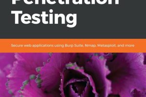Practical Web Penetration Testing: Secure Web Apps with Burp Suite & Nmap
