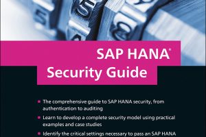 SAP HANA Security: Protect Your SAP Environment (2017)