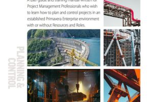 Planning and Control with Oracle Primavera P6 (Versions 8-19): Professional Guide