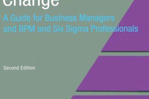 Business Managers Guide to BPM & Six Sigma: Tools for Success