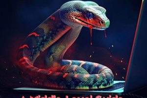 Django Python for Web Development: A Middle-Level Guide
