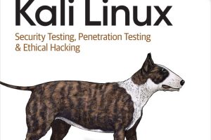 Learning Kali Linux: A Comprehensive Guide