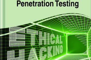 Perspectives on Ethical Hacking and Penetration Testing
