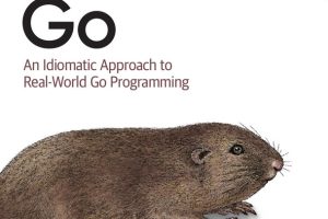 Learning Go: A Practical Guide for Beginners