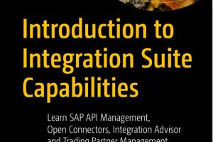 Integration Suite Capabilities: An Introduction