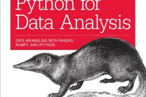 Python for Data Analysis