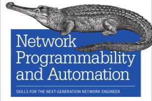 Network Programmability and Automation: Skills for the Next-Generation Network Engineer