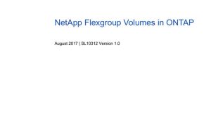 NetApp FlexGroup Volumes in ONTAP: A Guide