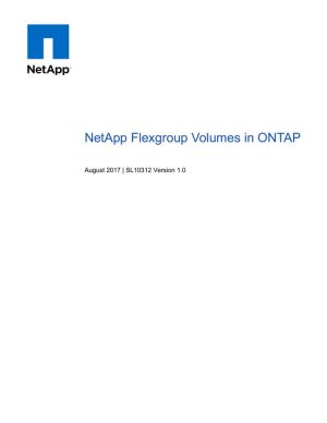 NetApp FlexGroup Volumes in ONTAP: A Guide