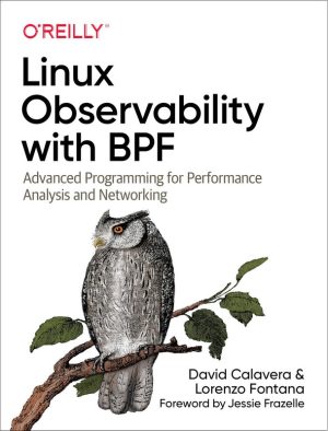 Linux Observability with BPF