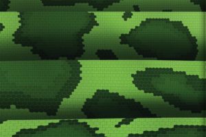 Gray Hat Python: Programming for Hackers