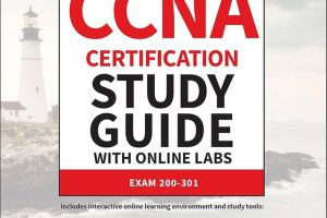CCNA Certification Study Guide Volume 1: Exam 200-301 V1.1