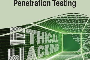Perspectives on Ethical Hacking and Penetration Testing