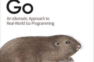 Learning Go