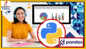 Python for Data Science in 2025 - A-Z EDA with Real Exercises