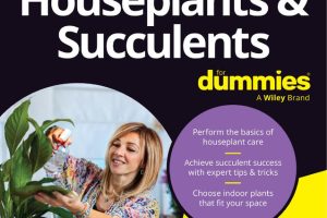 Houseplants and Succulents For Dummies Care Guide