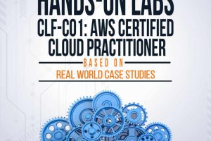 AWS Cloud Practitioner Labs: Real-World Case Studies